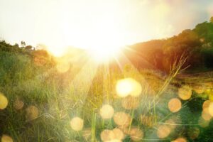Mindfulness Tips