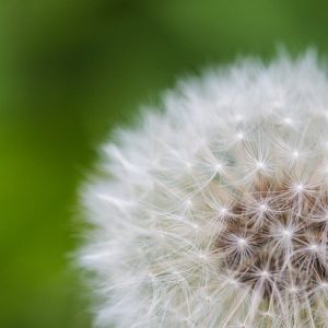 E-Learning 8-Week Mindfulness-based Stress Reduction Course